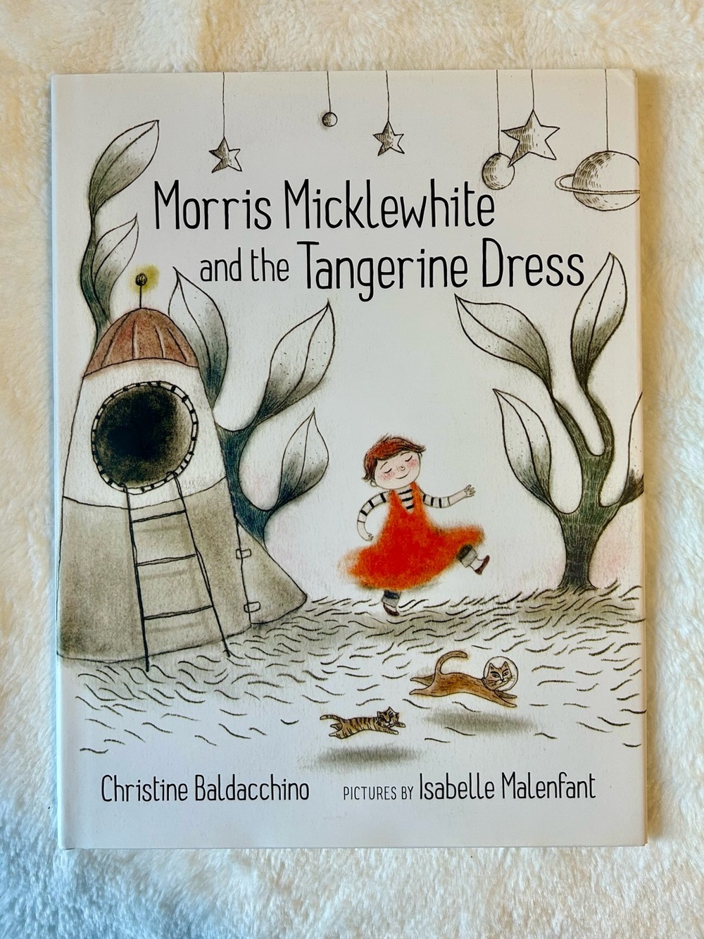 Children's Hard Cover Book - Morris Micklewhite and the Tangerine Dress